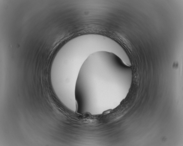 X0000089930552200707271800