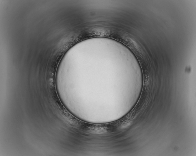 X0000089930553200707271800