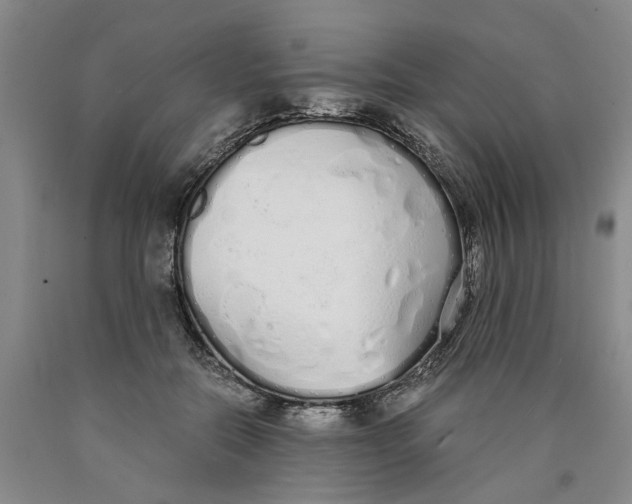 X0000089930554200707271800