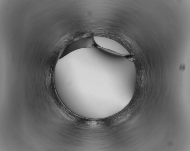 X0000089930558200707271800