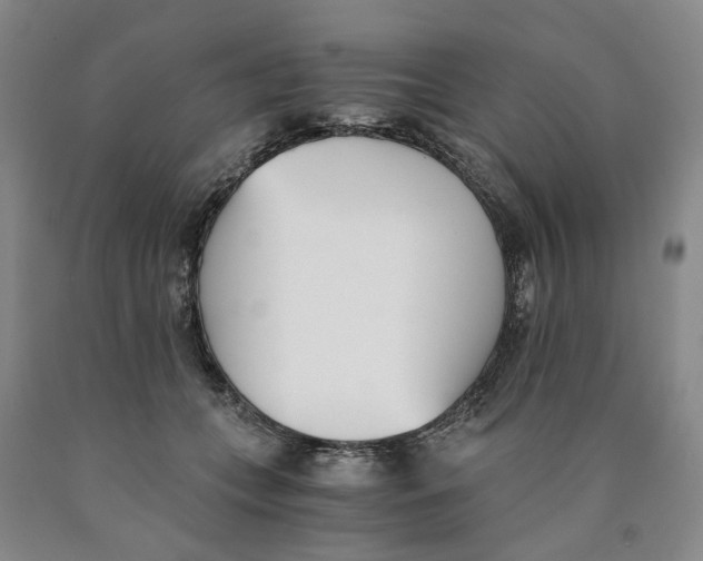 X0000089930559200707271800