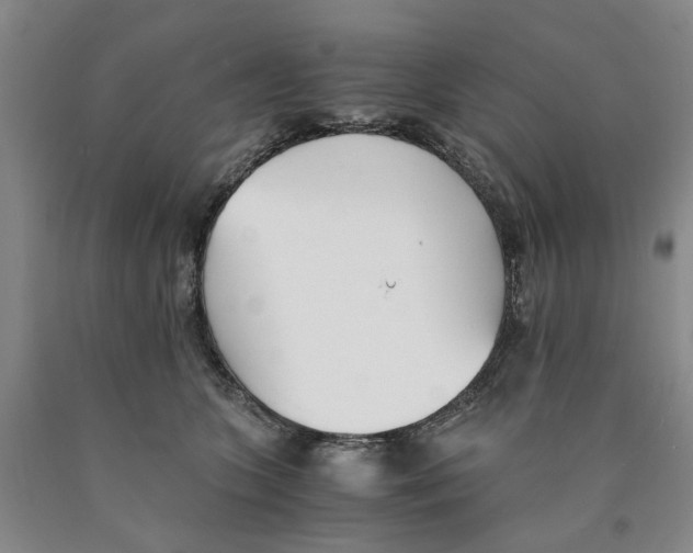 X0000089930563200707271800