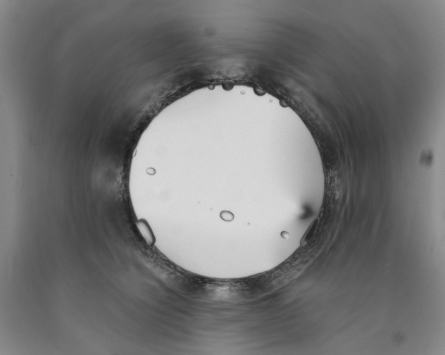 X0000089930564200707271800