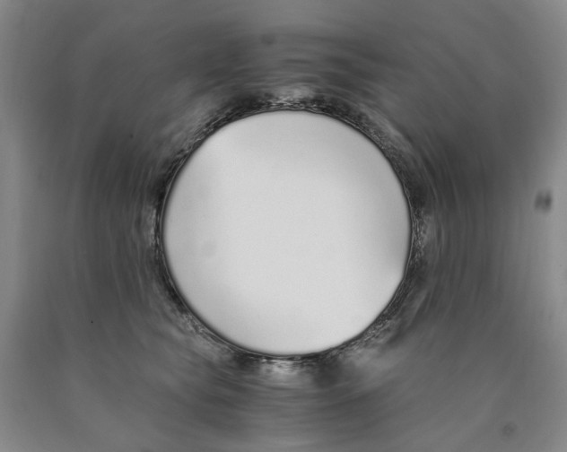 X0000089930565200707271800