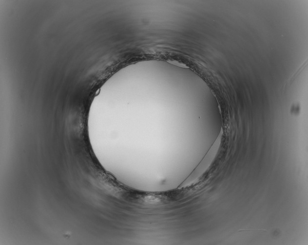 X0000089930566200707271800