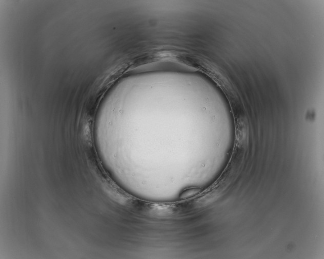 X0000089930573200707271800