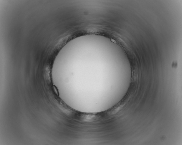 X0000089930575200707271800