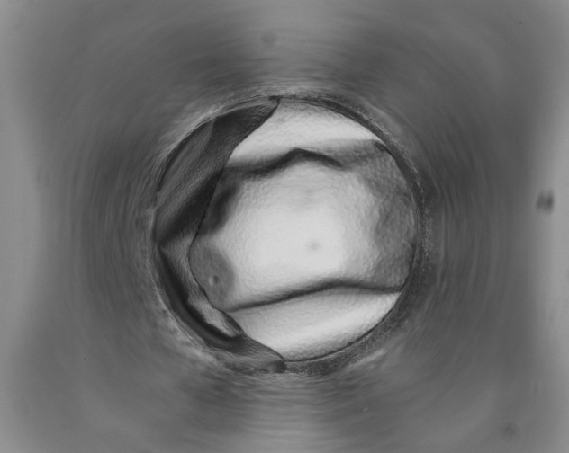 X0000089930577200707271759