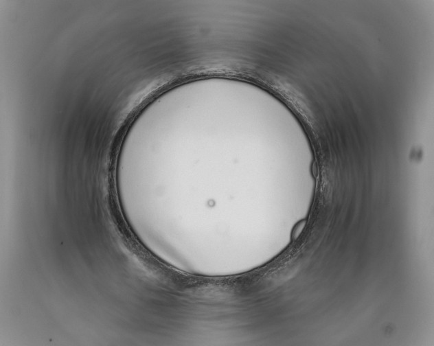 X0000089930578200707271759