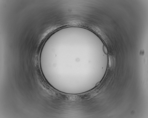 X0000089930579200707271759