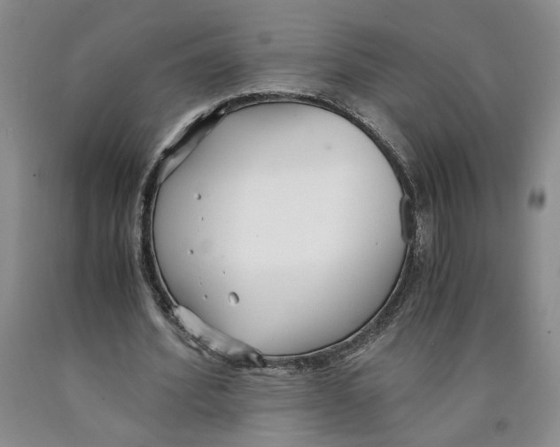 X0000089930580200707271759