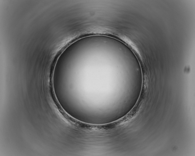 X0000089930581200707271759