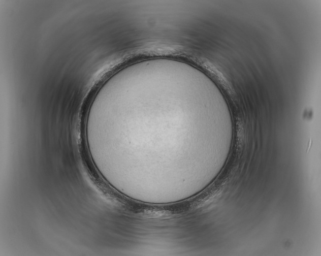 X0000089930582200707271759