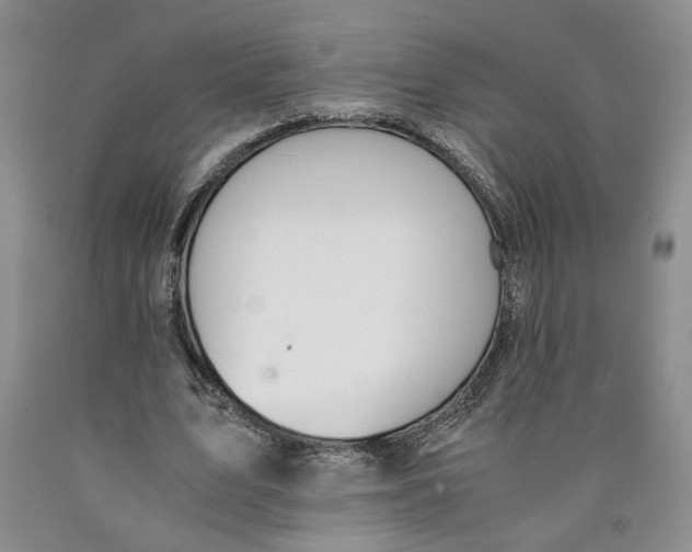 X0000089930583200707271759