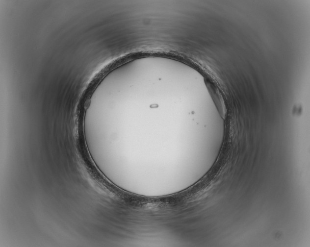 X0000089930584200707271759