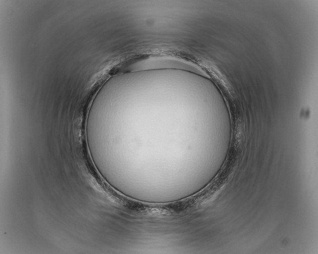 X0000089930585200707271759