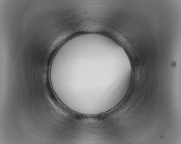 X0000089930586200707271759