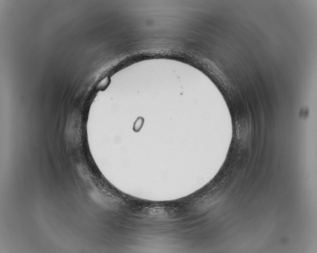 X0000089930588200707271759