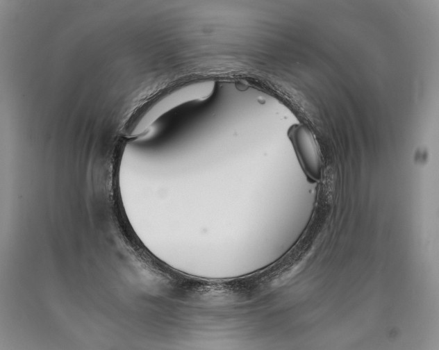 X0000089930589200707271759