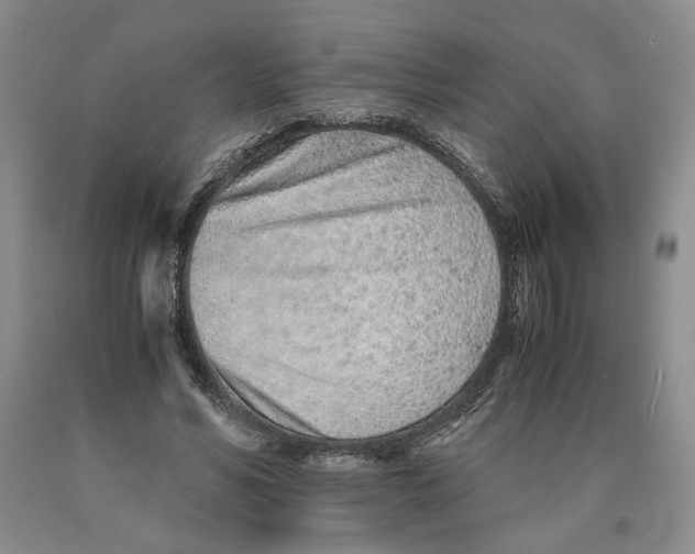 X0000089930590200707271759