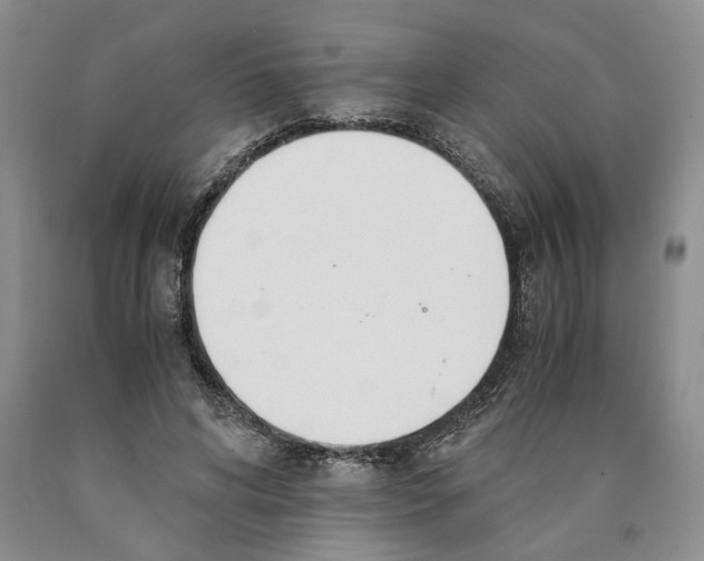 X0000089930592200707271759