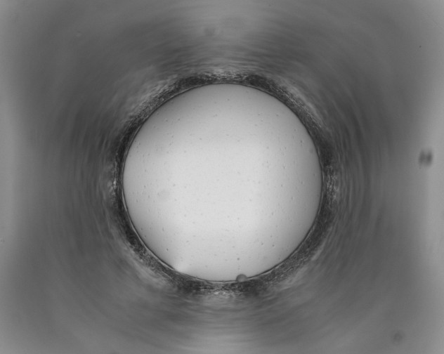 X0000089930593200707271759