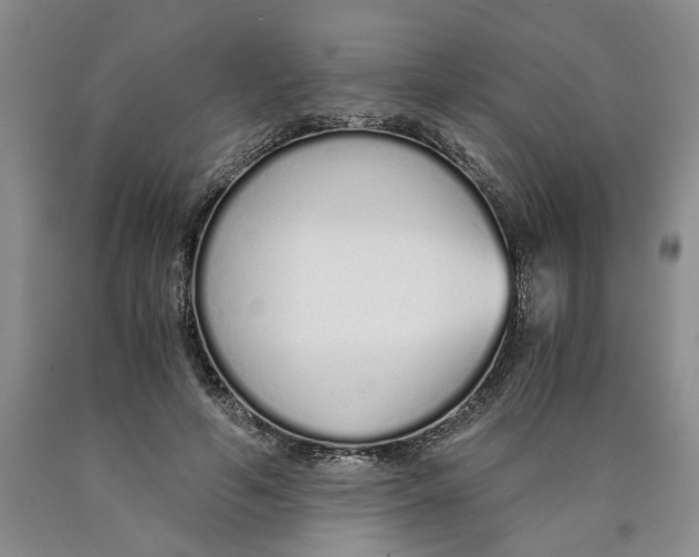 X0000089930594200707271759