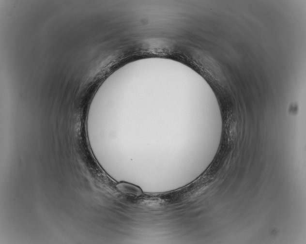 X0000089930595200707271759