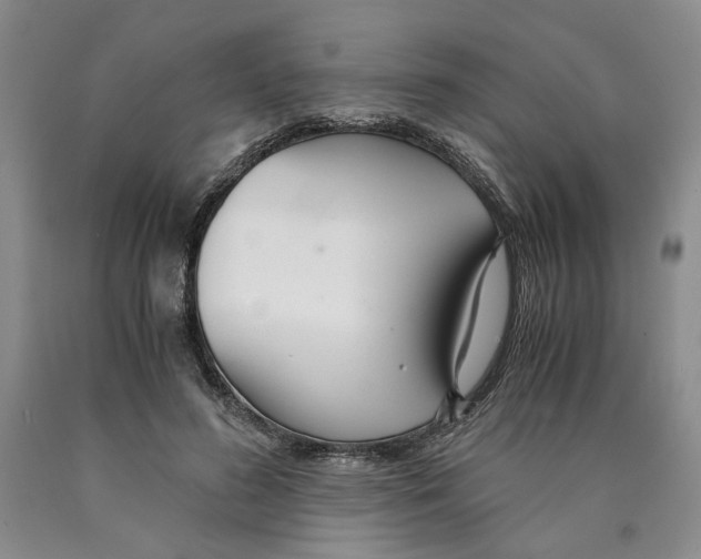 X0000089930596200707271759