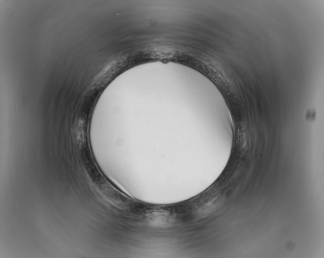 X0000089930598200707271759