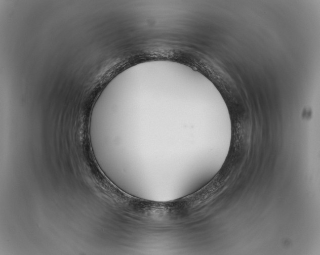 X0000089930600200707271759