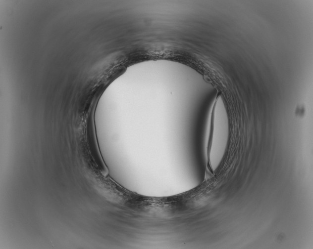 X0000089930601200707271759