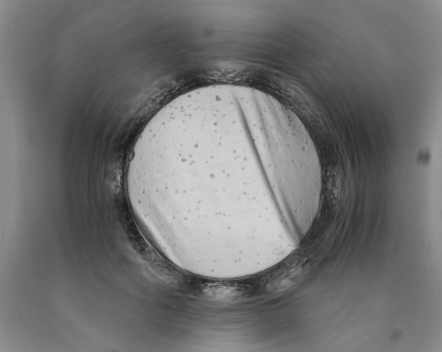 X0000089930602200707271759