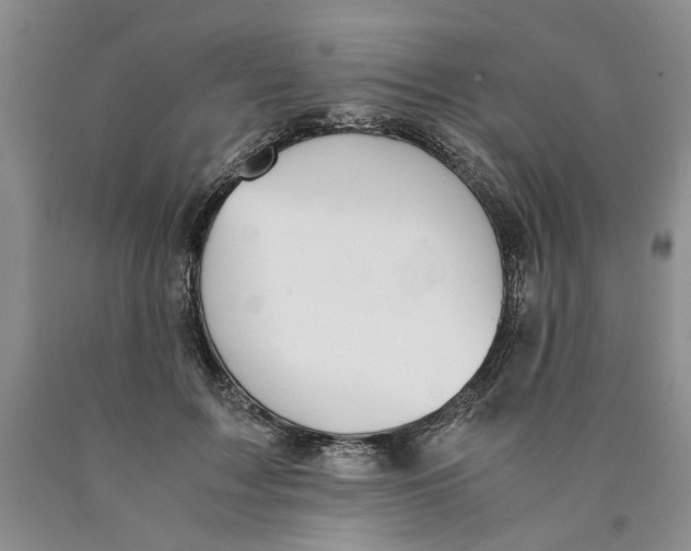 X0000089930603200707271759