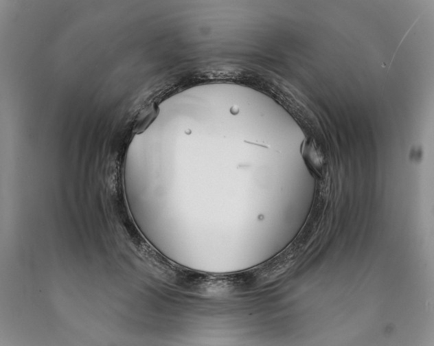 X0000089930604200707271759