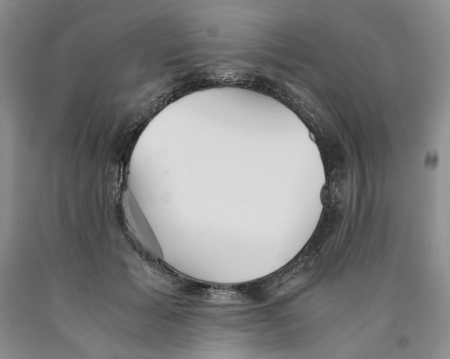 X0000089930605200707271759