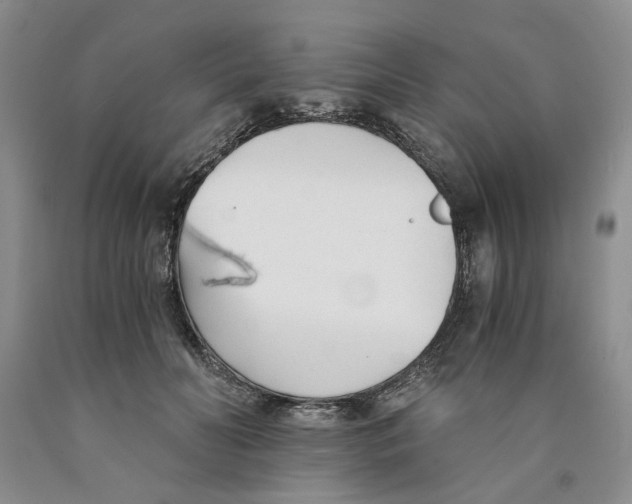 X0000089930606200707271759