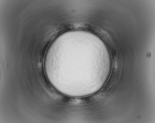 X0000089930607200707271759