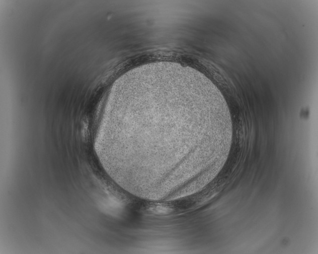 X0000089930610200707271759