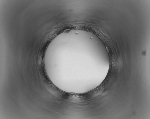 X0000089930611200707271759