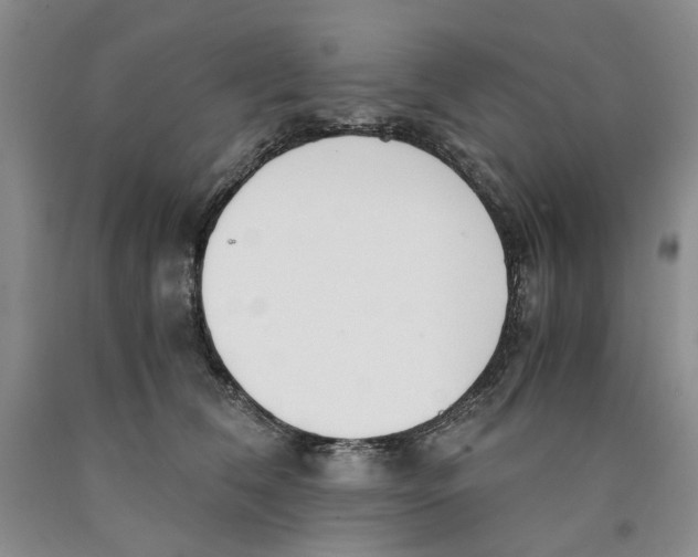 X0000089930612200707271759