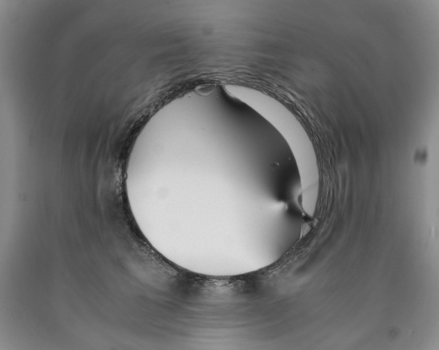 X0000089930613200707271759