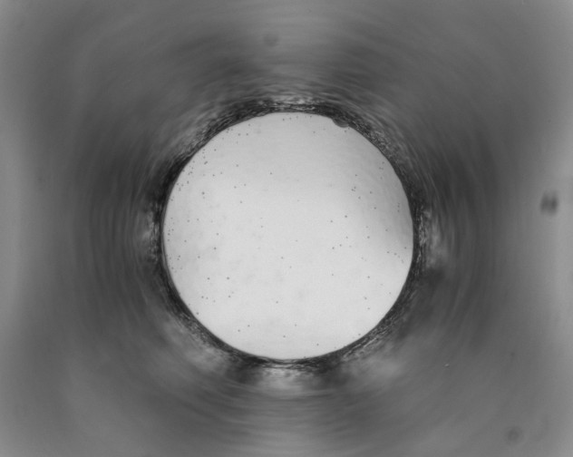 X0000089930614200707271759