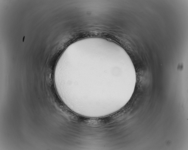 X0000089930615200707271759