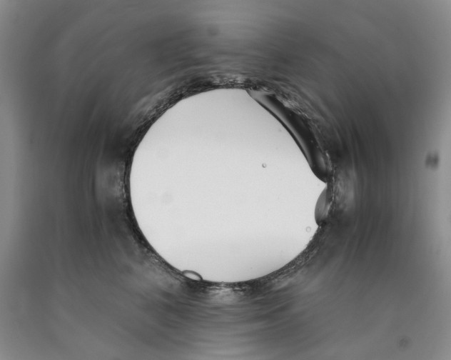 X0000089930616200707271759