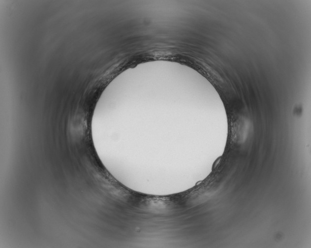 X0000089930618200707271759