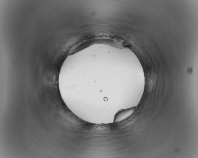 X0000089930619200707271759