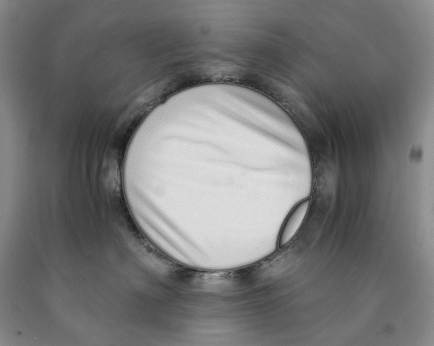 X0000089930622200707271759