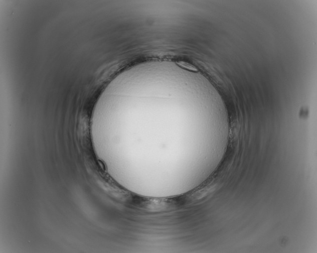 X0000089930623200707271759