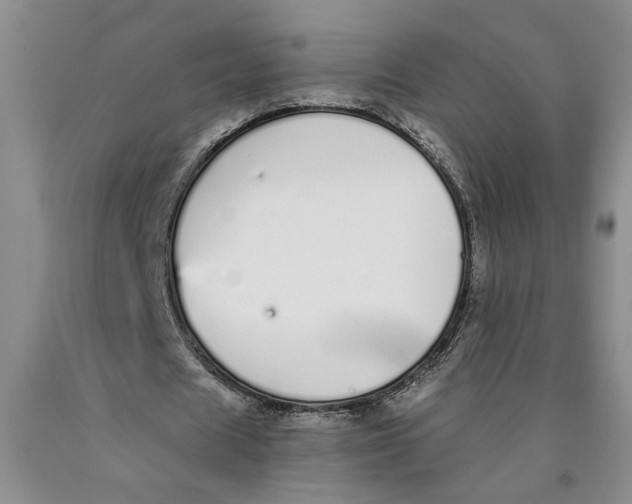 X0000089930625200707271758